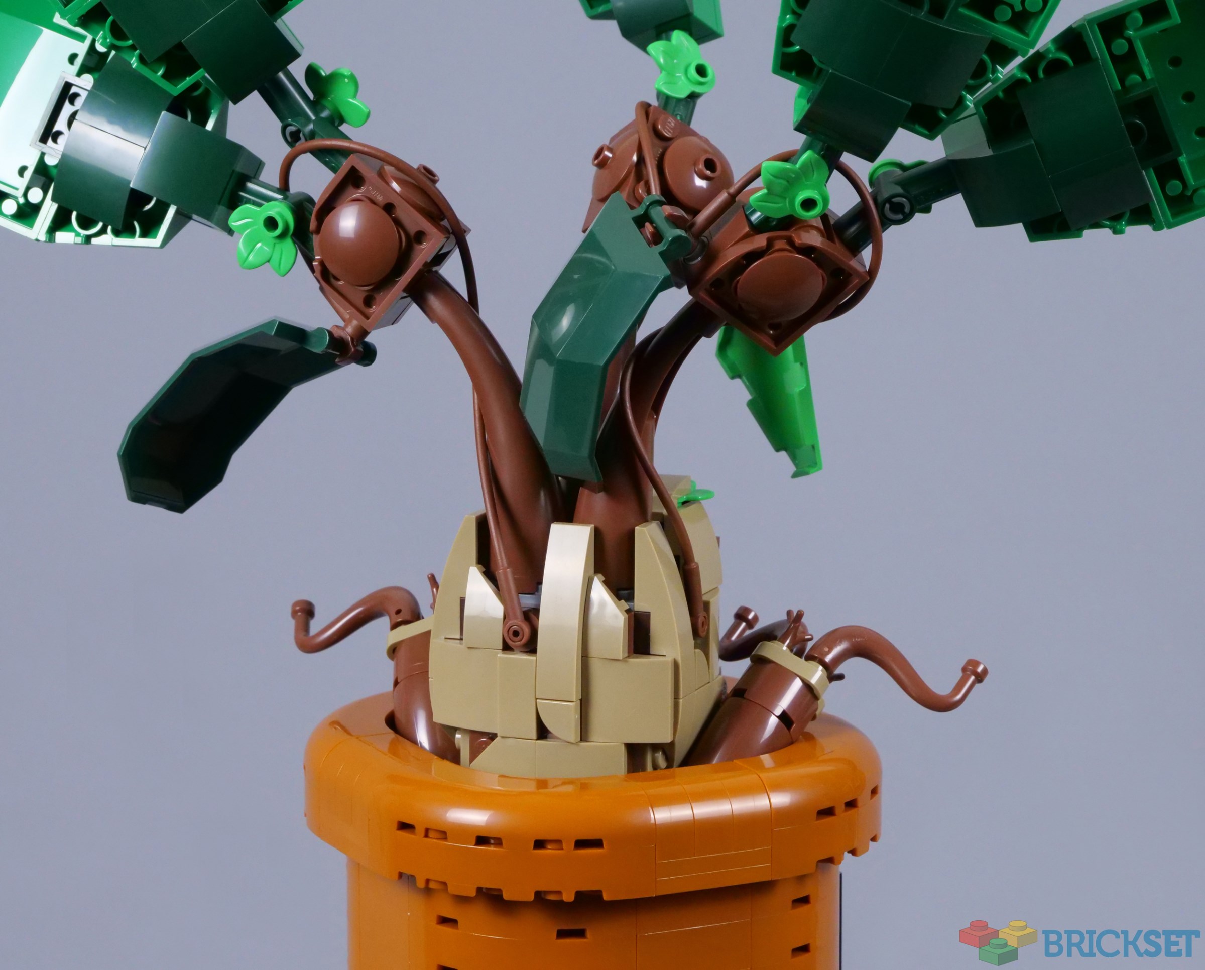 LEGO Harry Potter 76433 Mandrake review | Brickset